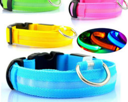 Nylon LED Dog Collar For Night Safety