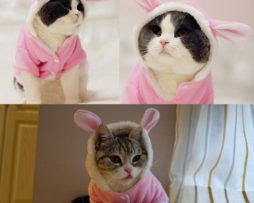 Winter Cat Clothes for Cats Pet Costume Christmas Dog Clothes Cute Rabbit Coat Warm Clothes Funny Party Apparel 11cY40S2