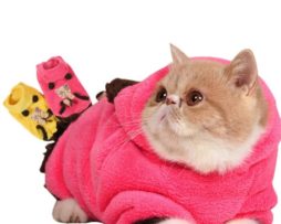 Thermal Soft Coral Velvet Cat Clothing Lovely Winter Two Legs Cat Jacket Coat Pet Clothes Supplies 1 Piece Dropshipping