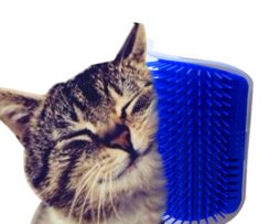 Pet Cat Self Groomer For Cat Grooming Tool Hair Removal Comb Dogs Cat Brush Hair Shedding Trimming Massage Device With Catnip